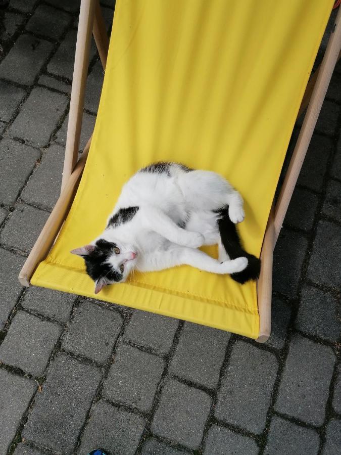 Domki W Zaciszu Ruś Buitenkant foto