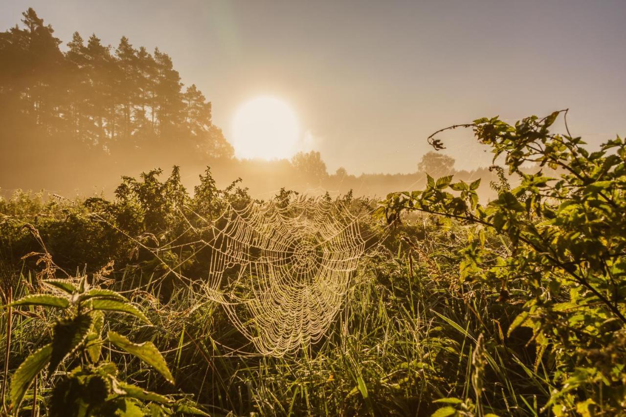 Domki W Zaciszu Ruś Buitenkant foto
