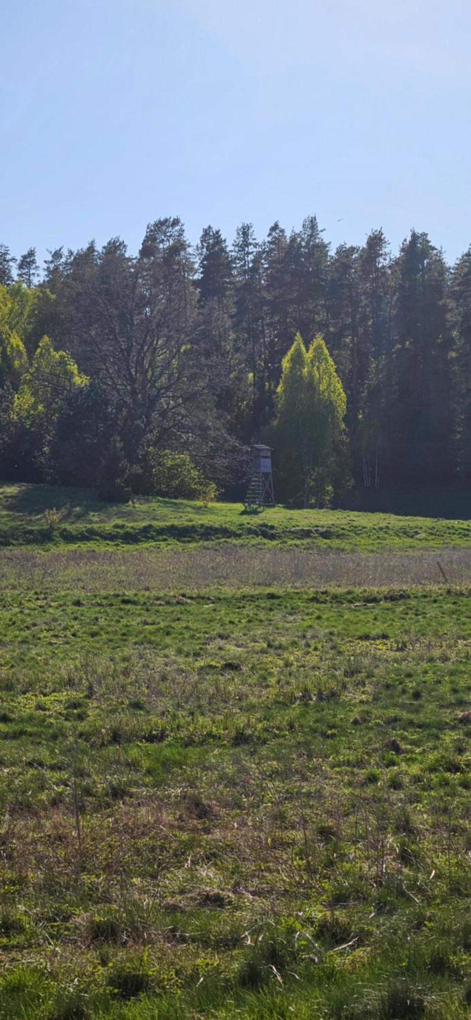 Domki W Zaciszu Ruś Buitenkant foto