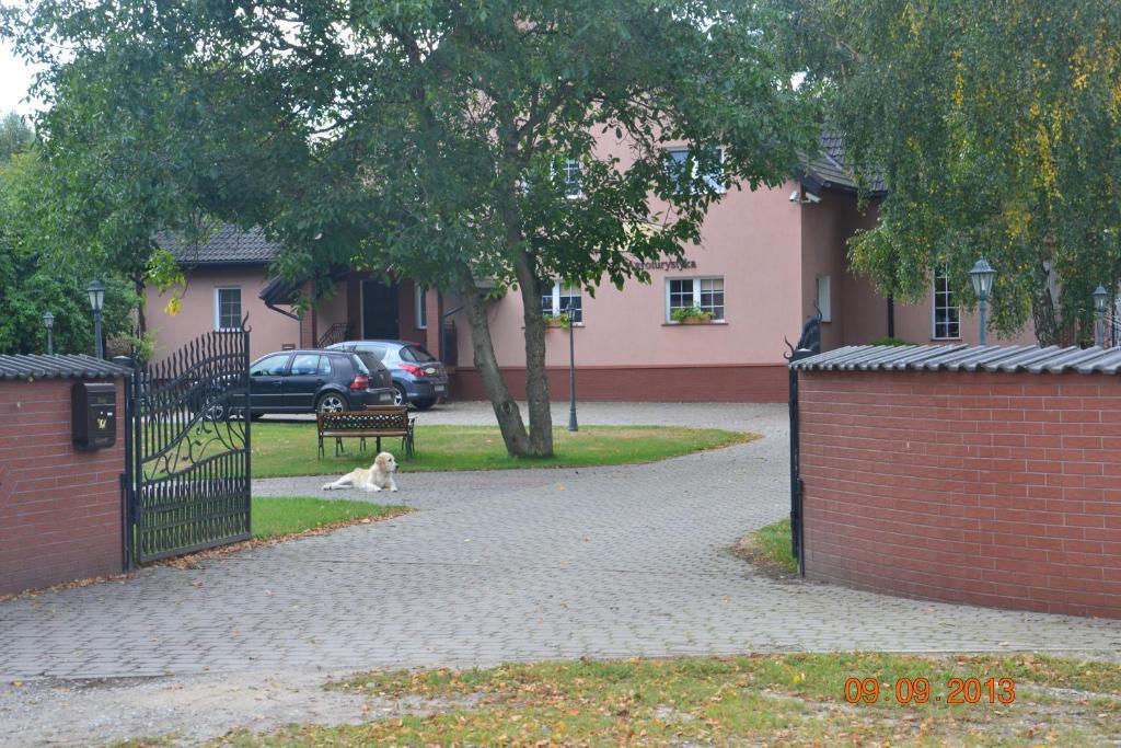 Domki W Zaciszu Ruś Kamer foto